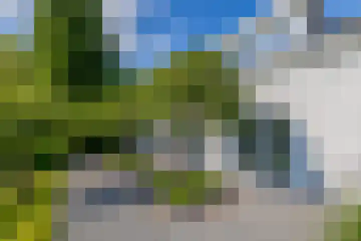 De Scheifelaar 14 Veghel thumbnail 58