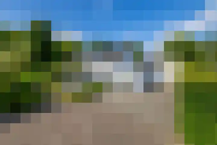 De Scheifelaar 14 Veghel thumbnail 59