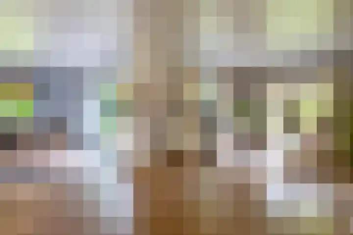 De Scheifelaar 14 Veghel thumbnail 6
