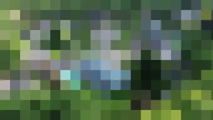De Scheifelaar 14 Veghel thumbnail 61