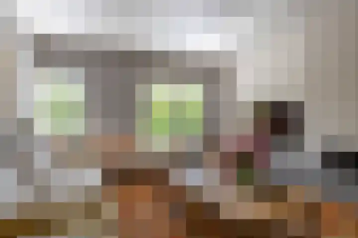 De Scheifelaar 14 Veghel thumbnail 7