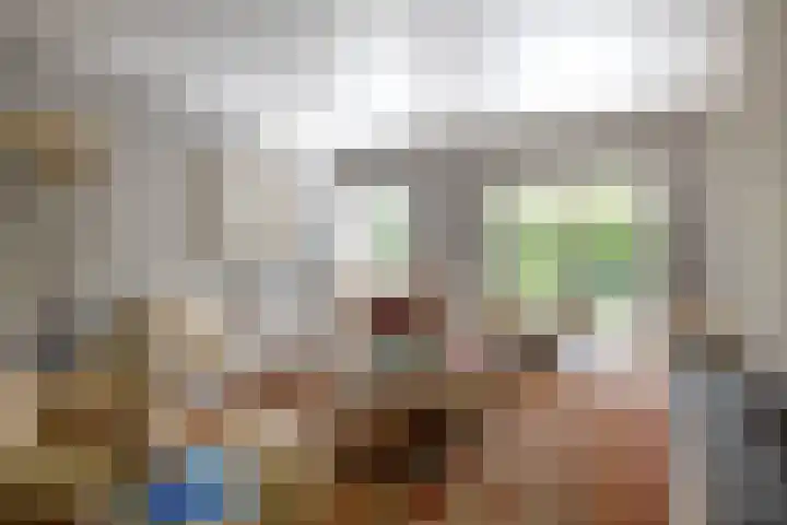 De Scheifelaar 14 Veghel thumbnail 8