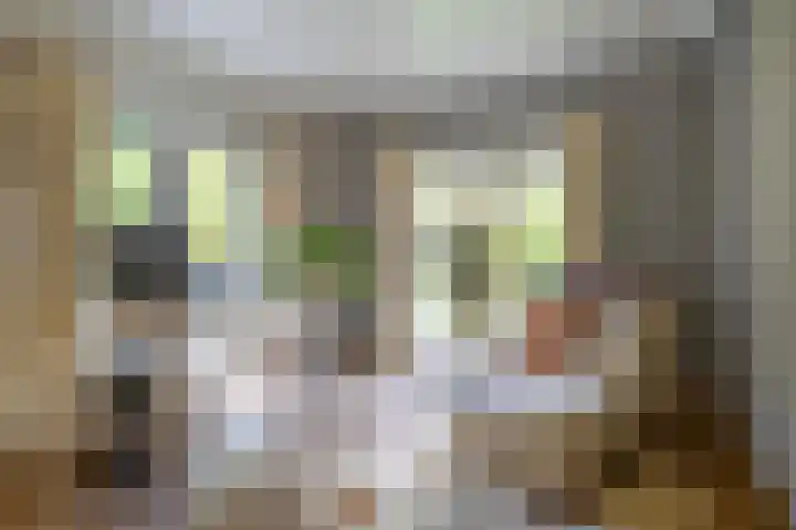 De Scheifelaar 14 Veghel thumbnail 9
