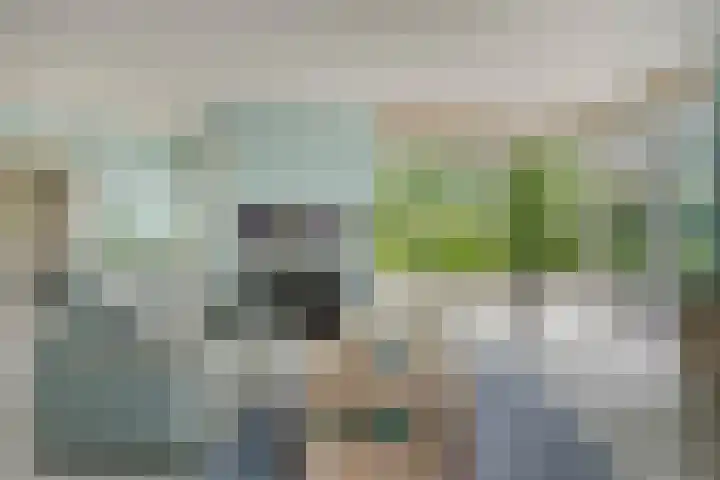 De Scheifelaar 145 Veghel thumbnail 10