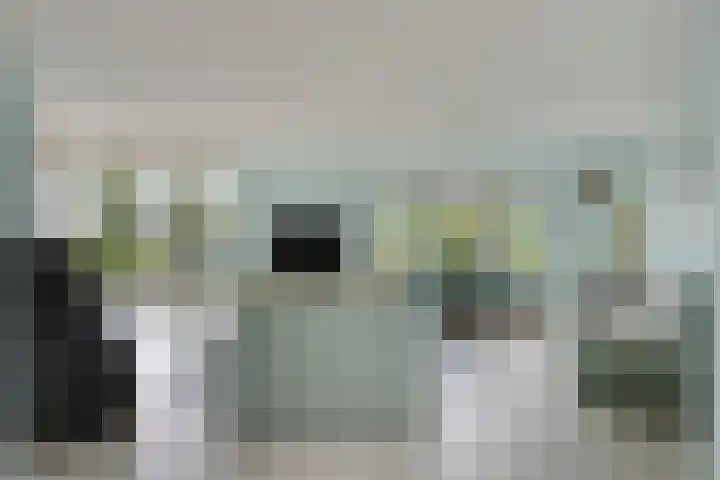 De Scheifelaar 145 Veghel thumbnail 11