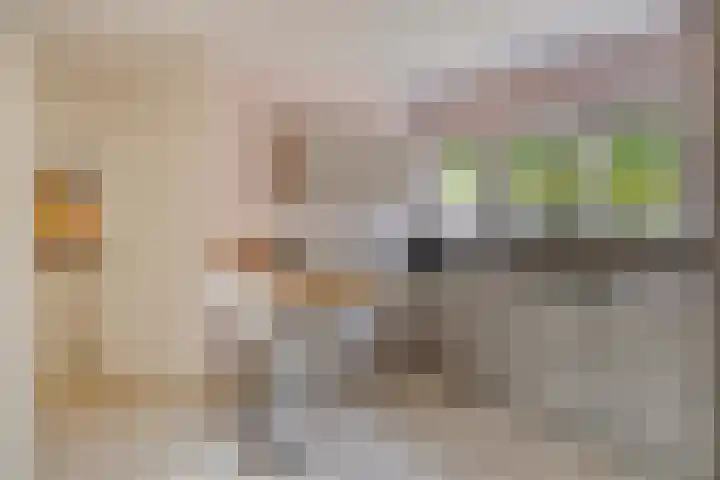 De Scheifelaar 145 Veghel thumbnail 12