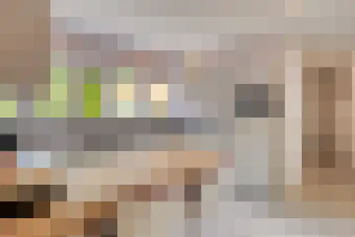De Scheifelaar 145 Veghel thumbnail 13