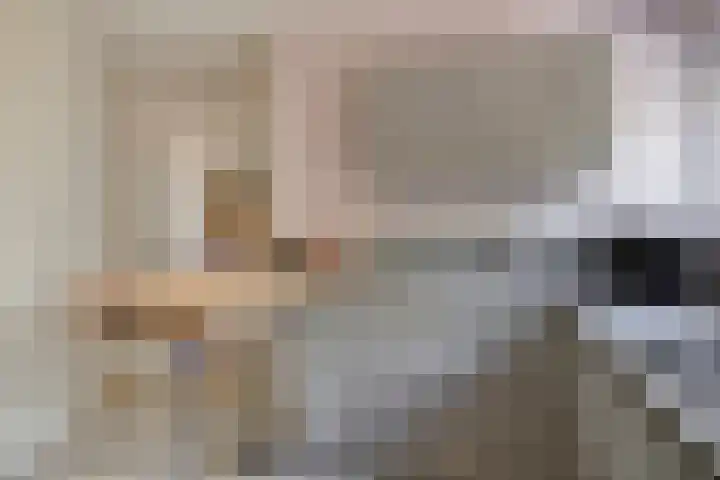 De Scheifelaar 145 Veghel thumbnail 14