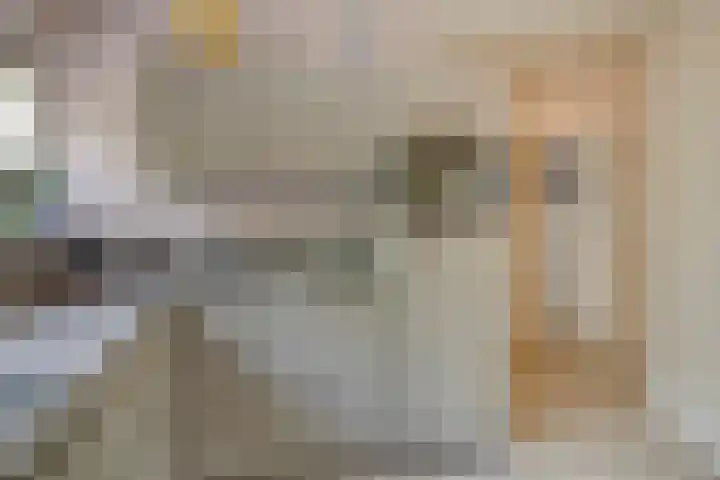 De Scheifelaar 145 Veghel thumbnail 15