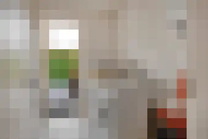 De Scheifelaar 145 Veghel thumbnail 16
