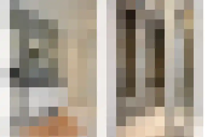 De Scheifelaar 145 Veghel thumbnail 19