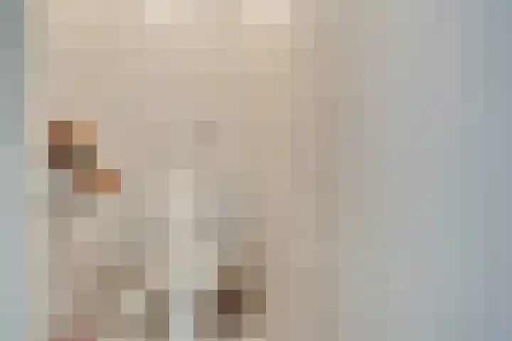 De Scheifelaar 145 Veghel thumbnail 22