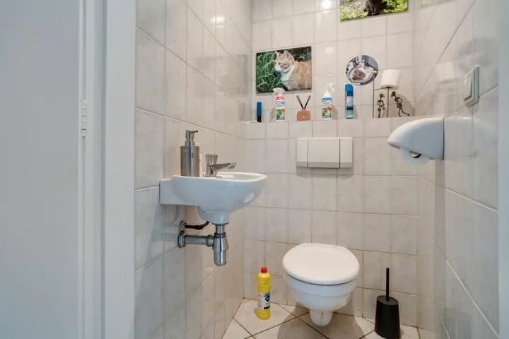 De Scheifelaar 145 Veghel thumbnail 26