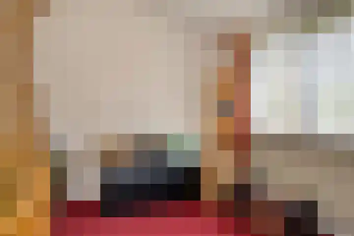 De Scheifelaar 145 Veghel thumbnail 27