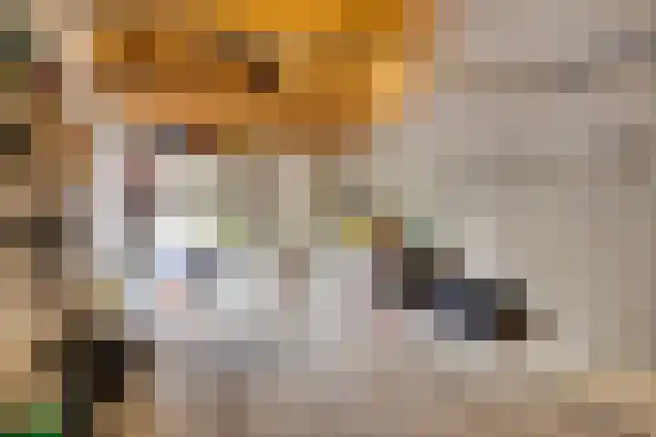 De Scheifelaar 145 Veghel thumbnail 28