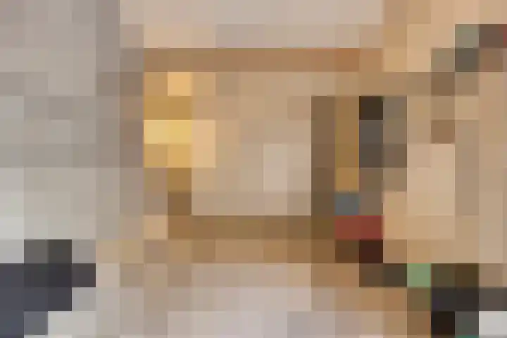 De Scheifelaar 145 Veghel thumbnail 29