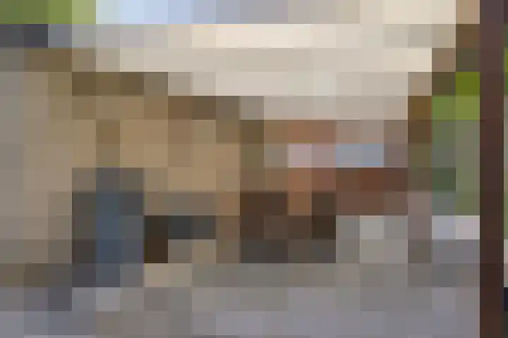 De Scheifelaar 145 Veghel thumbnail 30
