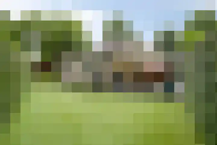 De Scheifelaar 145 Veghel thumbnail 31