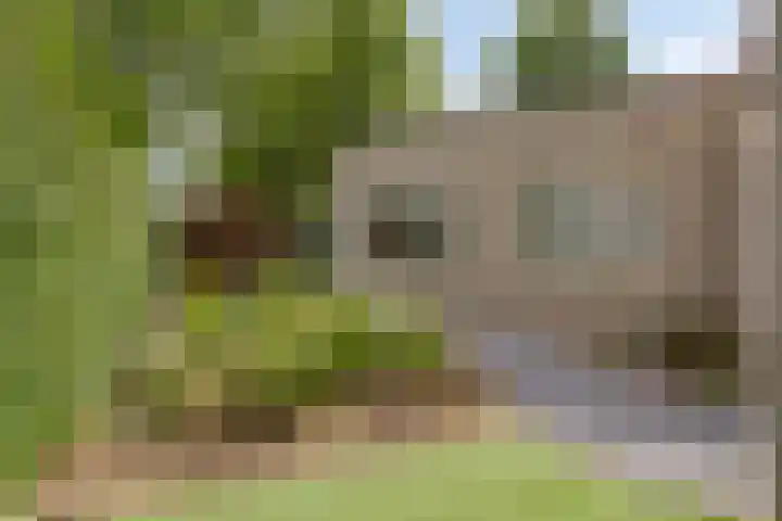 De Scheifelaar 145 Veghel thumbnail 33