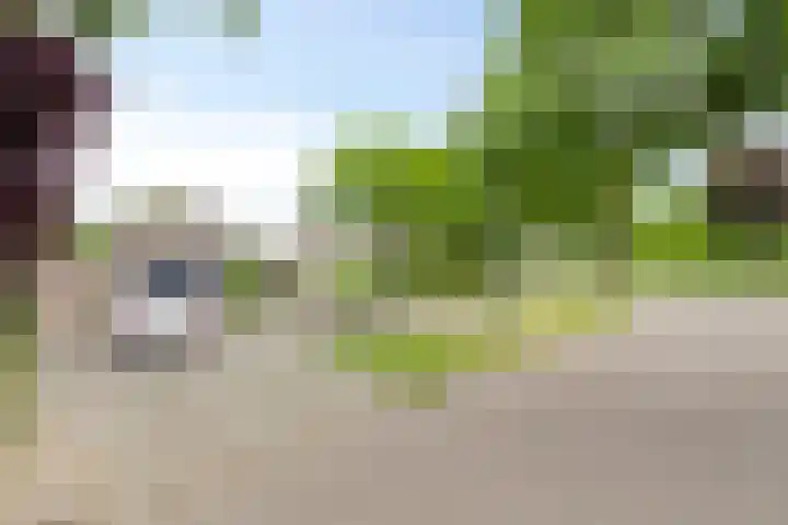 De Scheifelaar 145 Veghel thumbnail 34