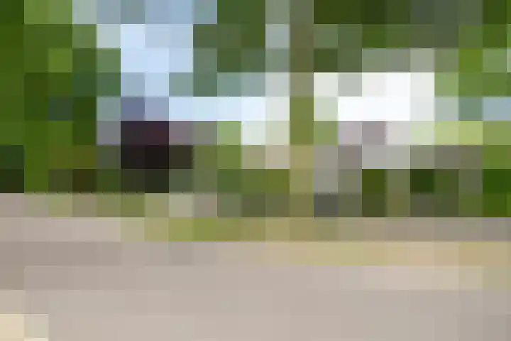 De Scheifelaar 145 Veghel thumbnail 35