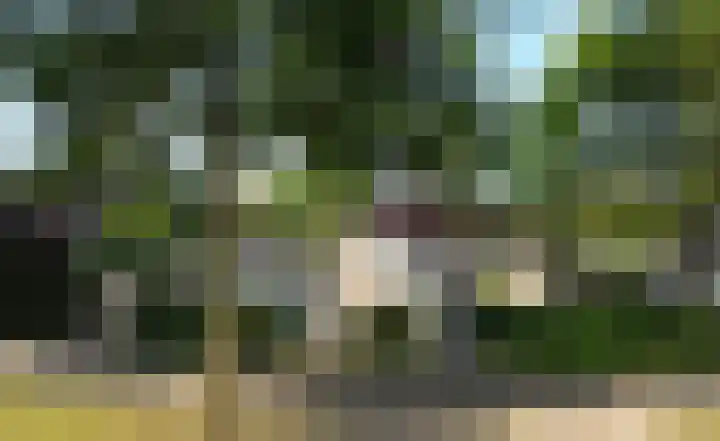De Scheifelaar 145 Veghel thumbnail 36