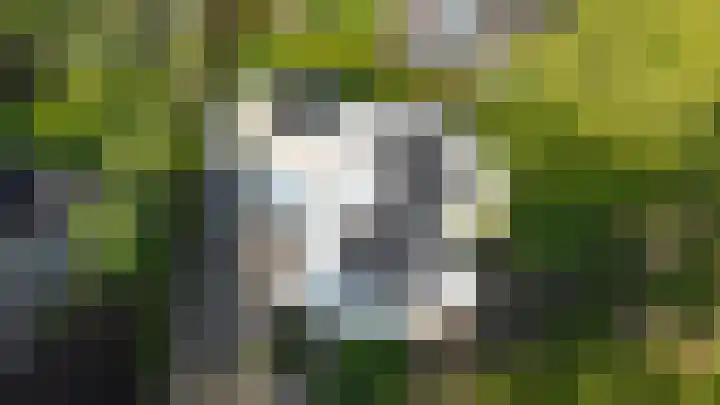 De Scheifelaar 145 Veghel thumbnail 37