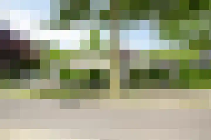 De Scheifelaar 145 Veghel thumbnail 4