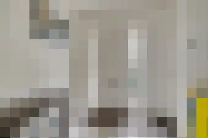 De Scheifelaar 145 Veghel thumbnail 5