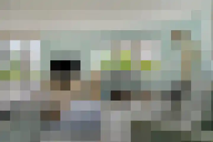 De Scheifelaar 145 Veghel thumbnail 8