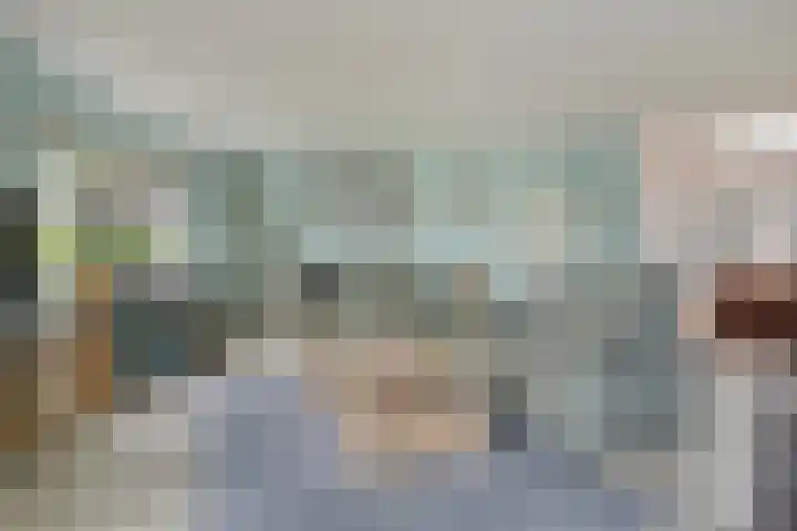 De Scheifelaar 145 Veghel thumbnail 9