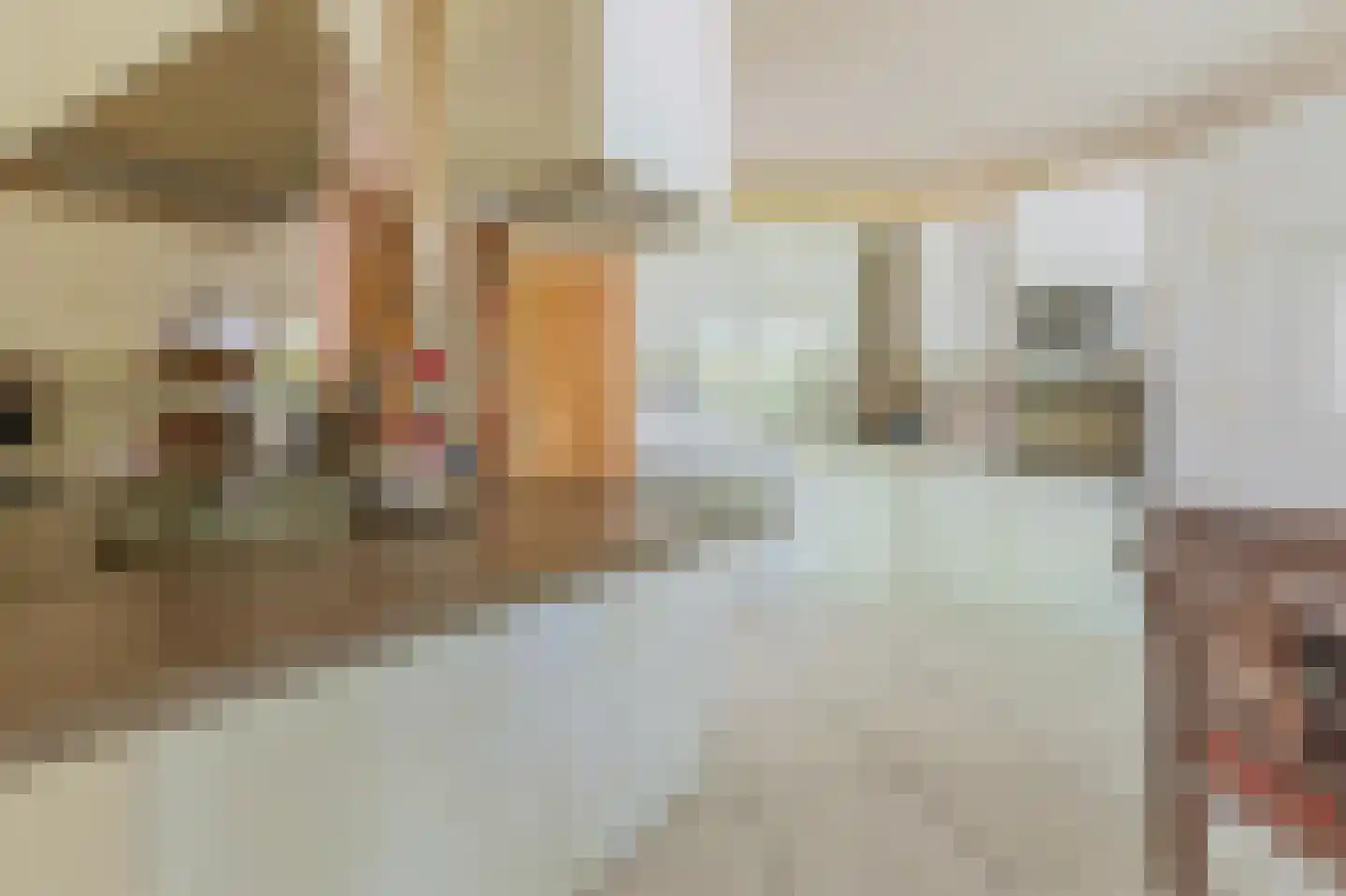 De Scheifelaar 227 Veghel thumbnail 14