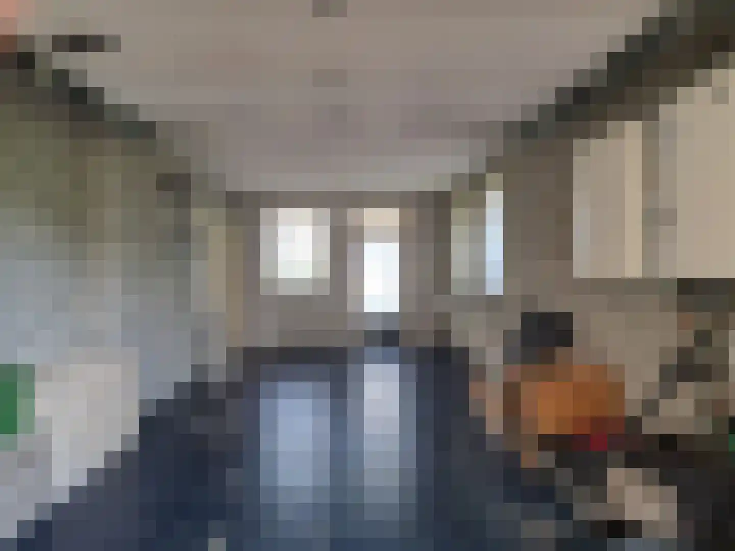 De Scheifelaar 227 Veghel thumbnail 22
