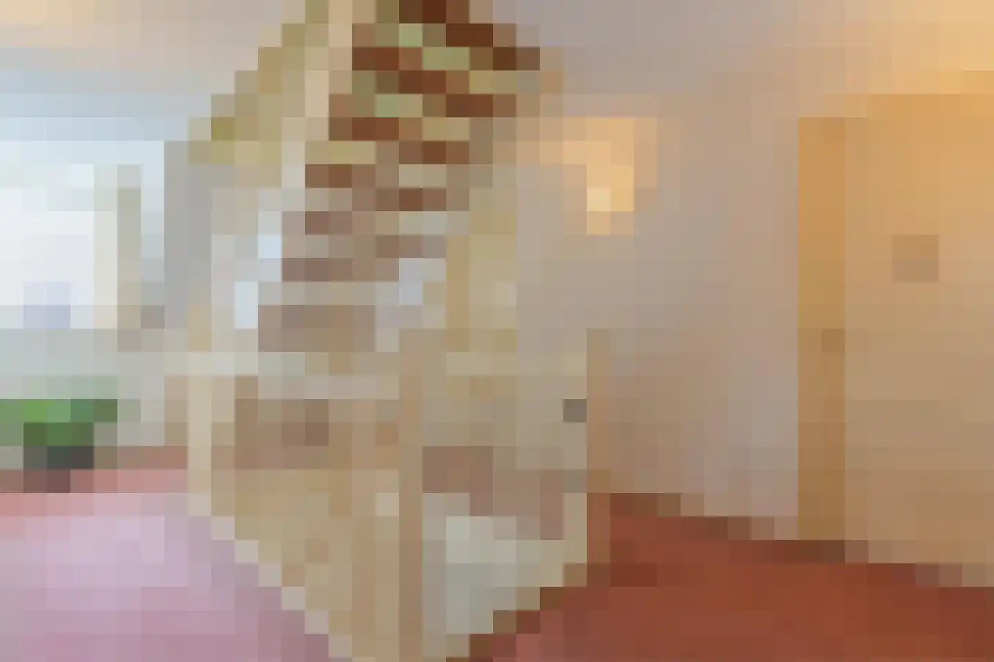 De Scheifelaar 227 Veghel thumbnail 24