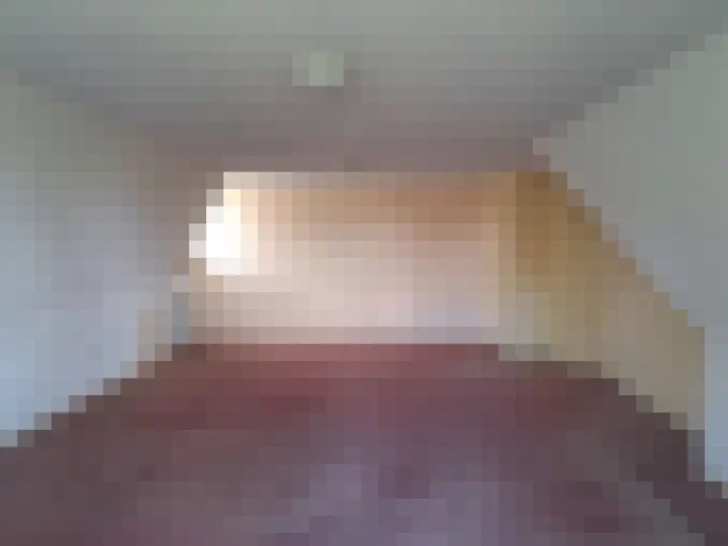 De Scheifelaar 227 Veghel thumbnail 27