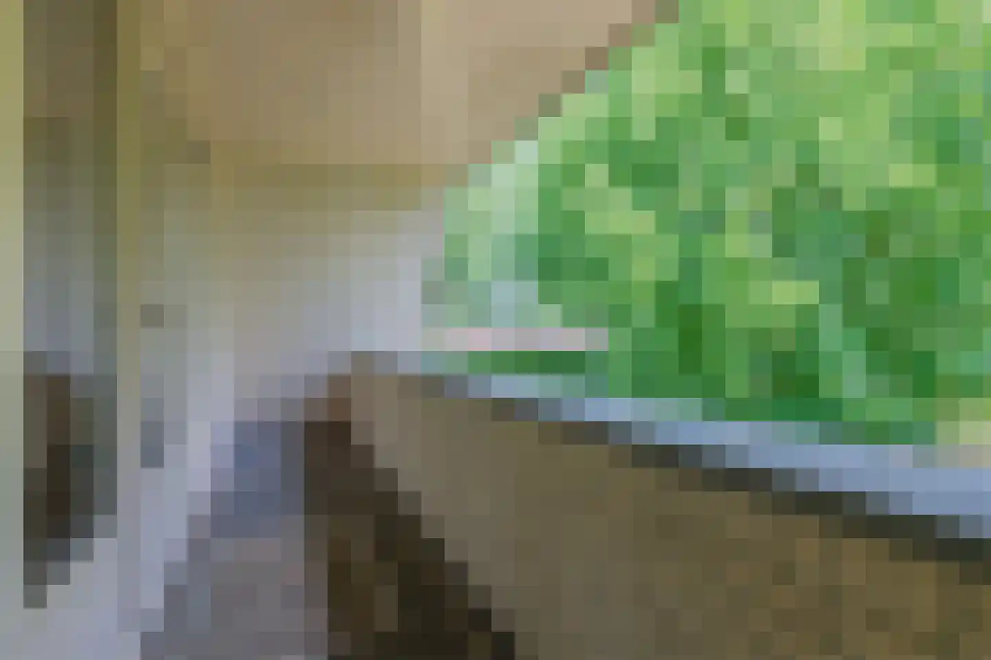 De Scheifelaar 227 Veghel thumbnail 28