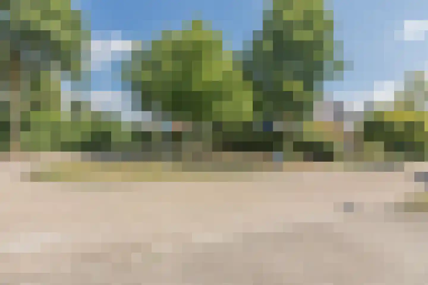 De Scheifelaar 227 Veghel foto 3
