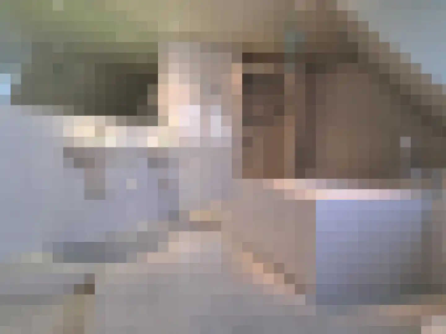 De Scheifelaar 227 Veghel thumbnail 31