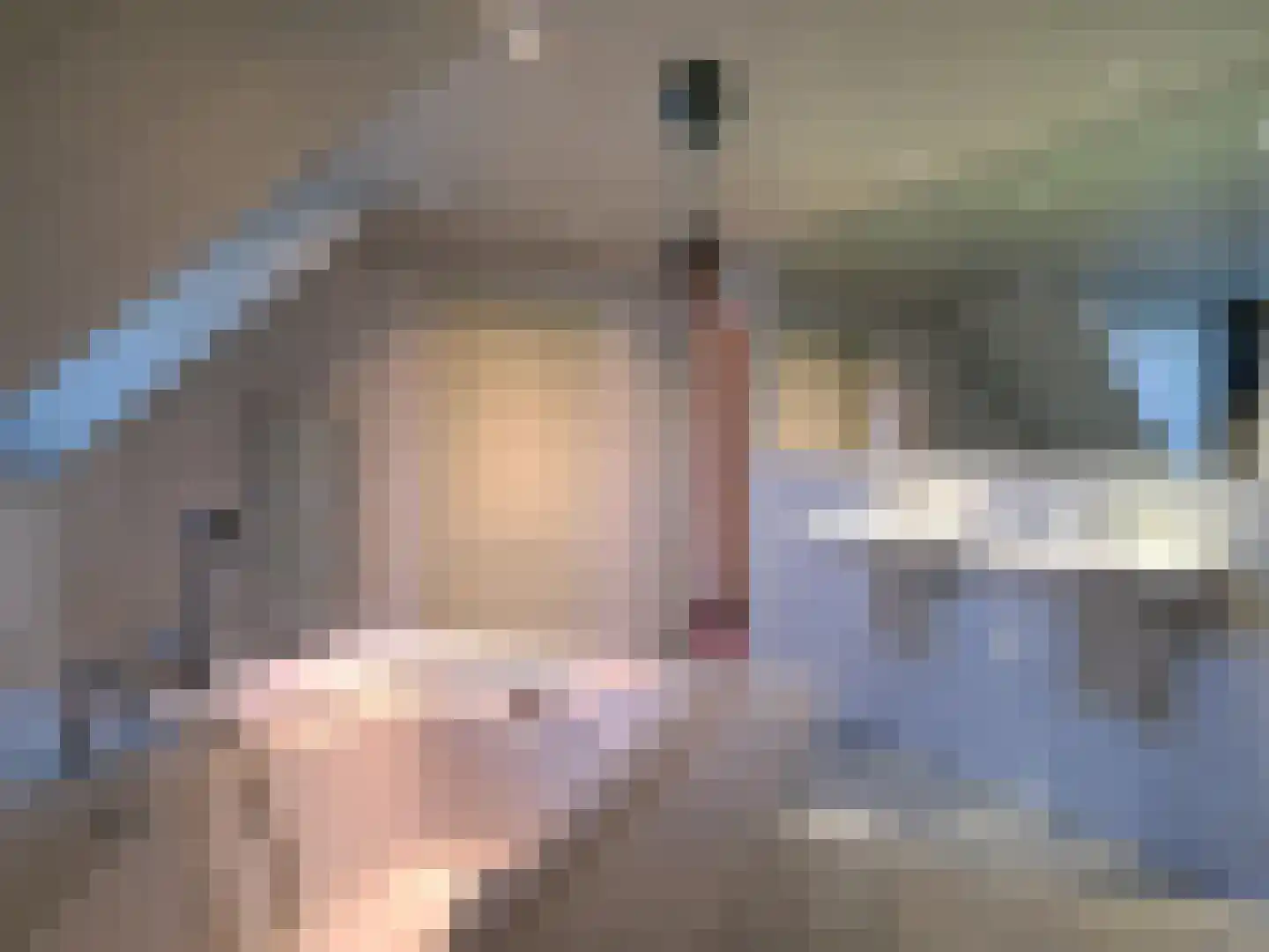 De Scheifelaar 227 Veghel thumbnail 32