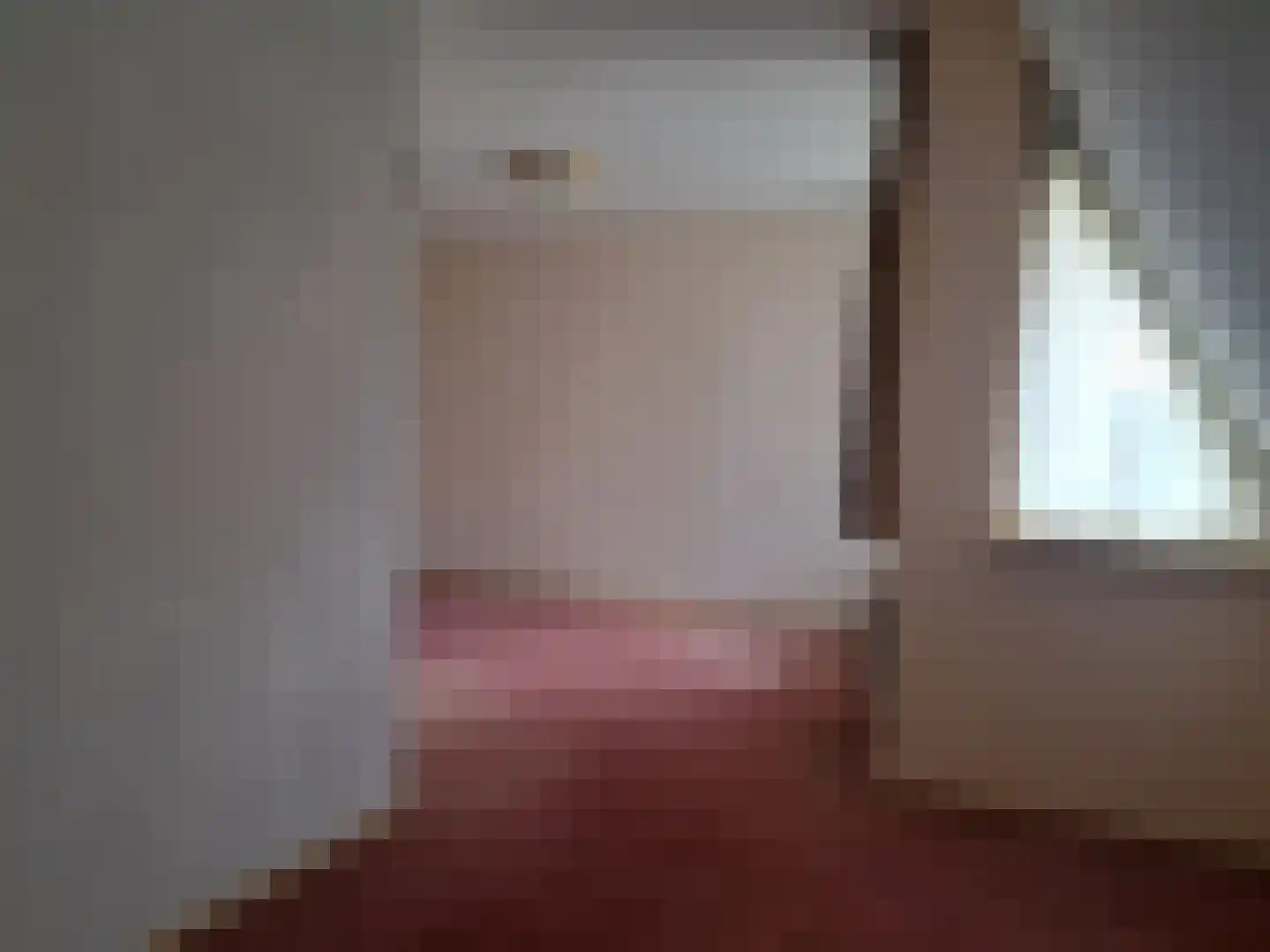 De Scheifelaar 227 Veghel thumbnail 36