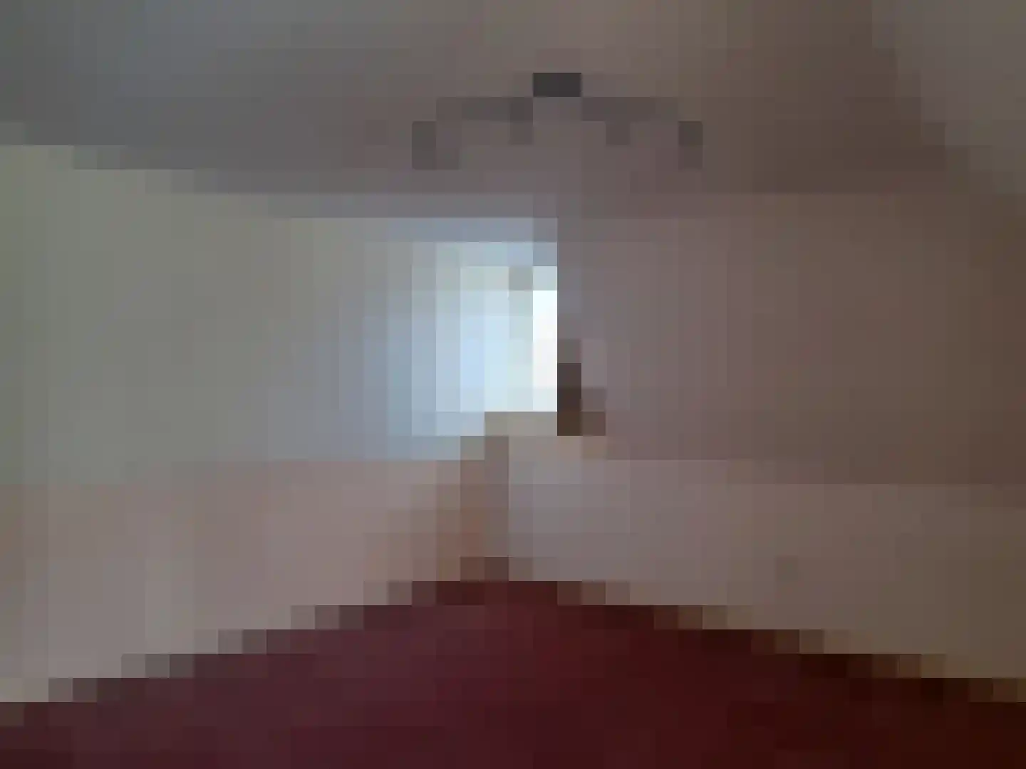 De Scheifelaar 227 Veghel thumbnail 38
