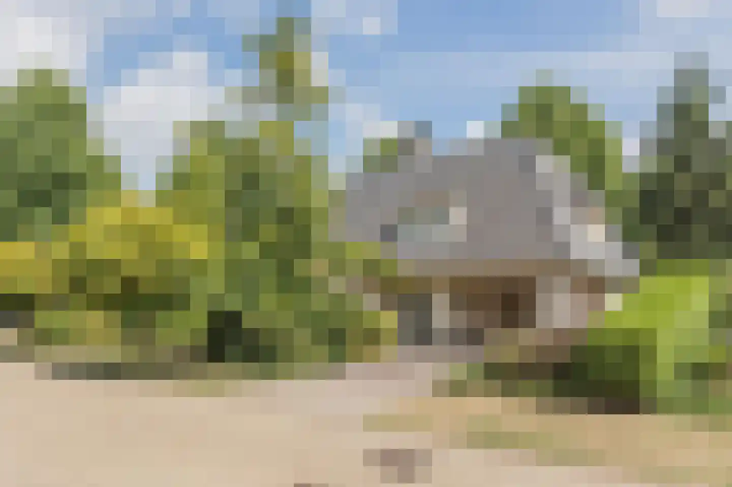 De Scheifelaar 227 Veghel thumbnail 4
