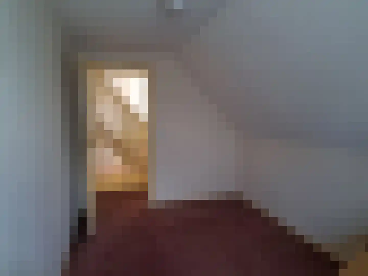 De Scheifelaar 227 Veghel thumbnail 40