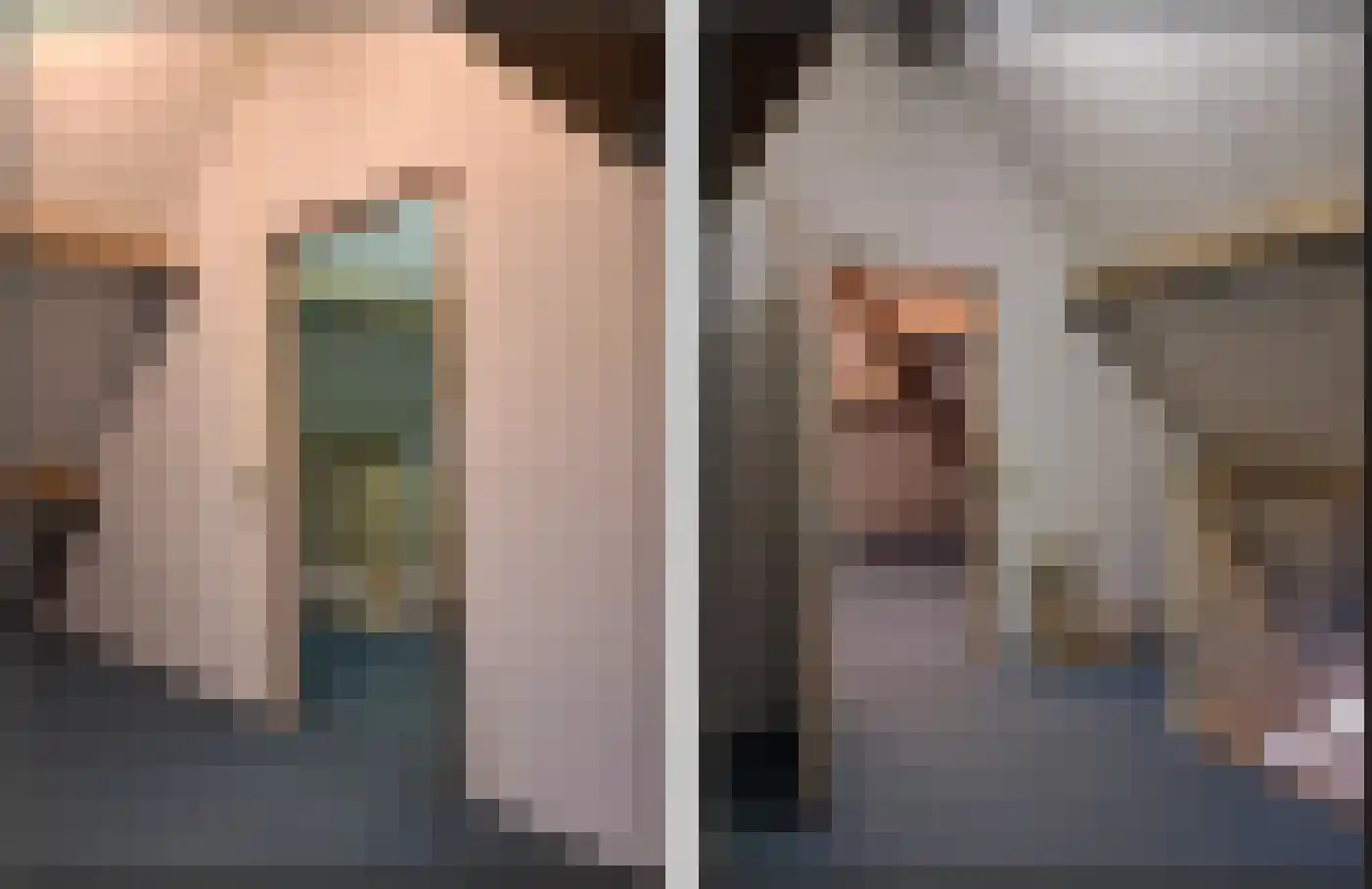 De Scheifelaar 227 Veghel thumbnail 42