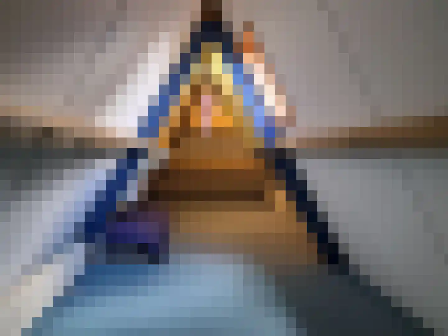 De Scheifelaar 227 Veghel thumbnail 43