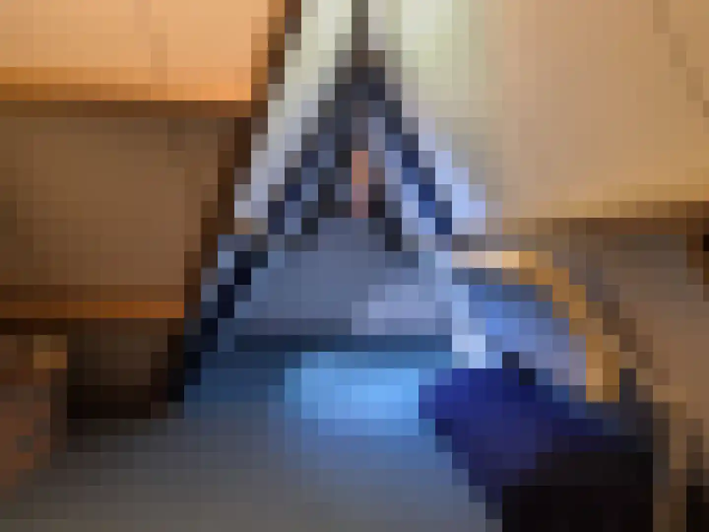 De Scheifelaar 227 Veghel thumbnail 44