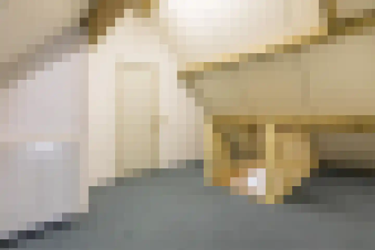 De Scheifelaar 227 Veghel thumbnail 45
