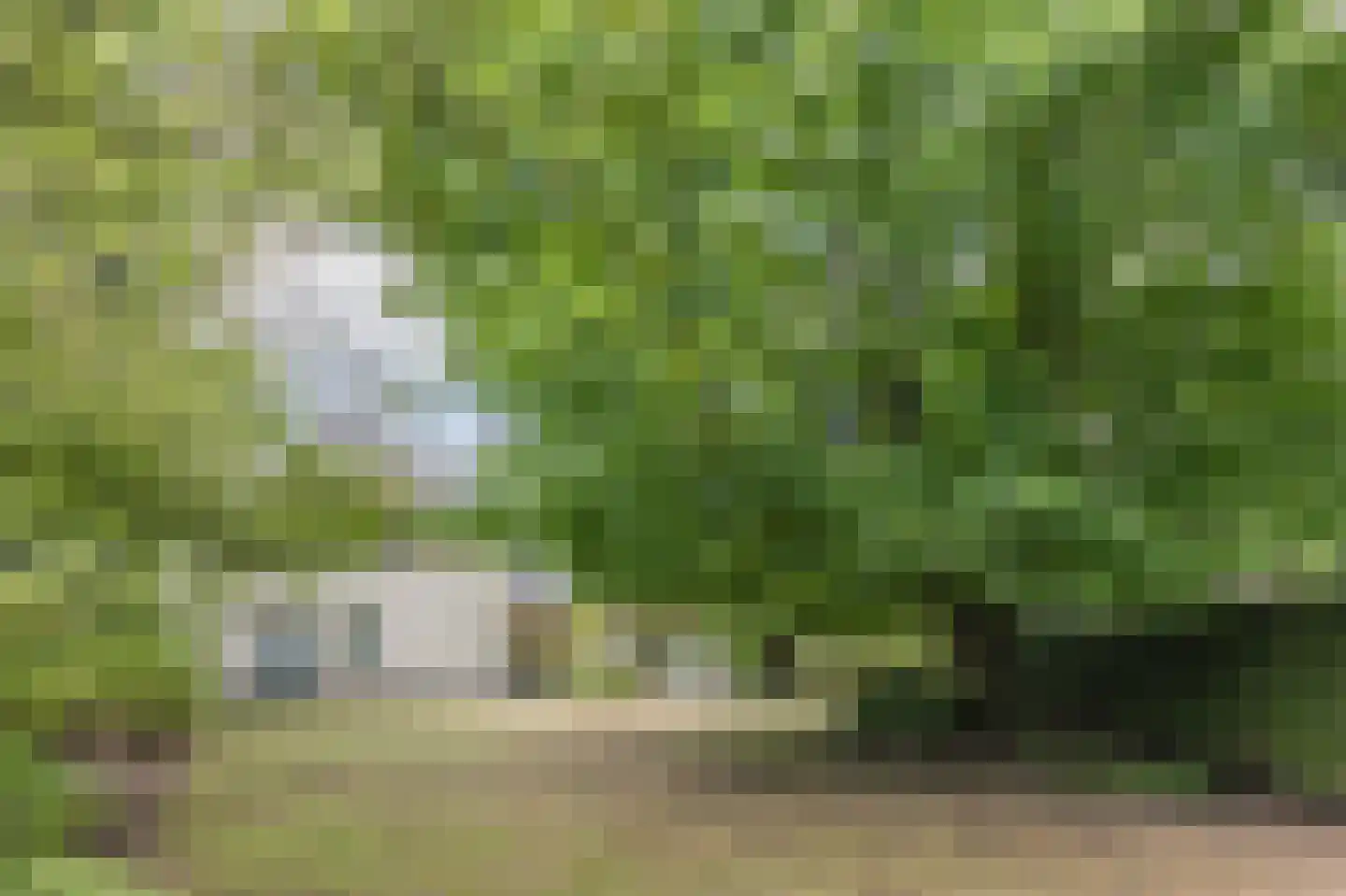 De Scheifelaar 227 Veghel thumbnail 49