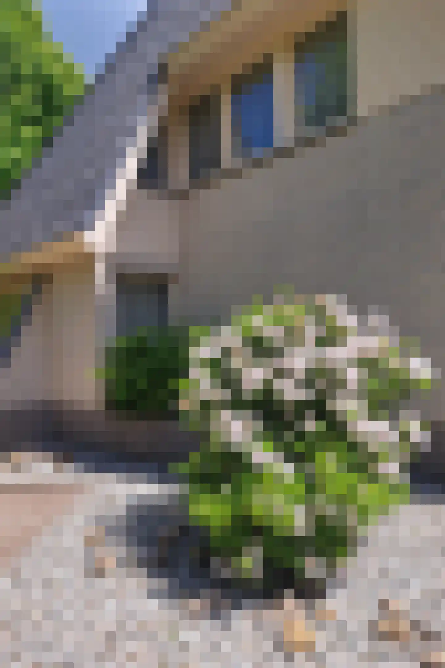 De Scheifelaar 227 Veghel thumbnail 5