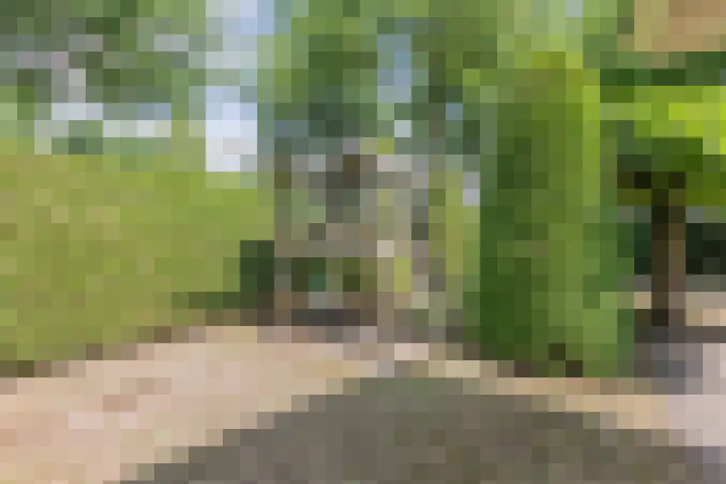 De Scheifelaar 227 Veghel thumbnail 50
